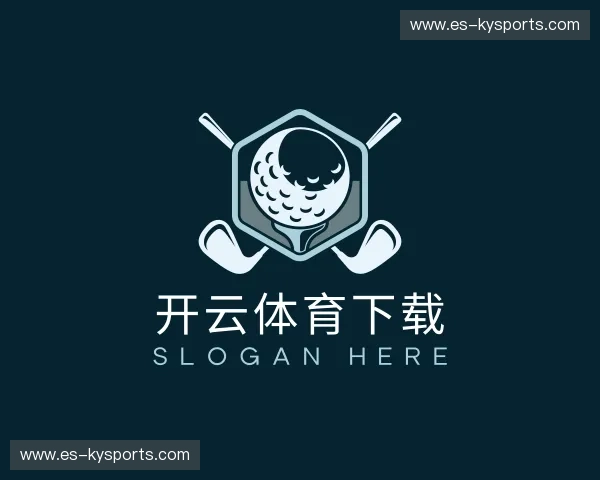 介绍开云体育下载